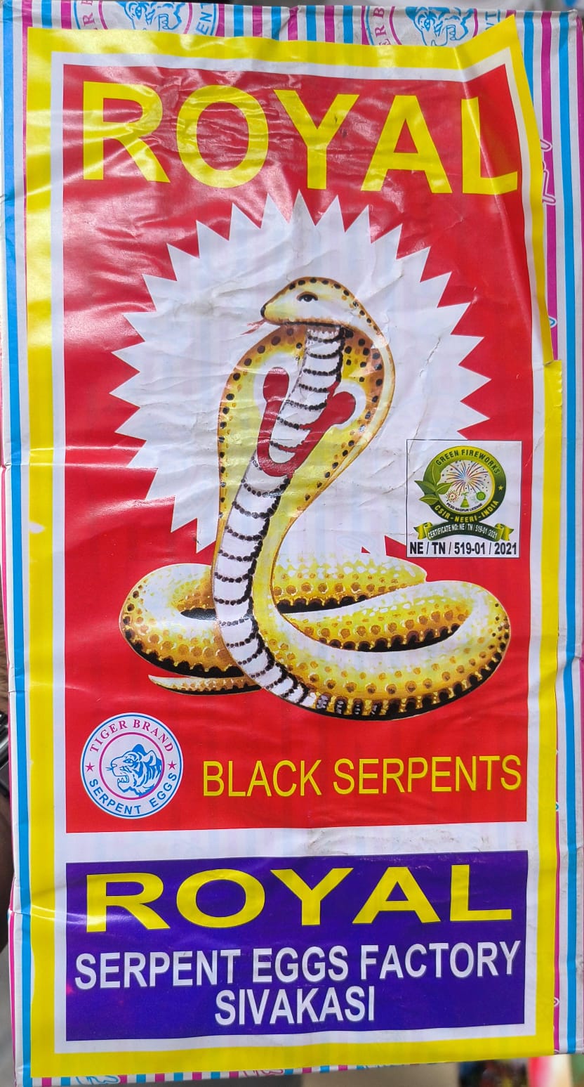 SNAKE SERPENT EGG BIG